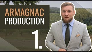 Armagnac production 17  Harvesting and fermenting grapes [upl. by Htnicayh]