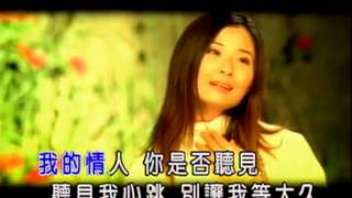 《別讓我等太久》作詞：阿丹  作曲：吳欽文  收錄林姍2002年發行的專輯【台灣最美麗的聲音～流雲；為君愁】 [upl. by Settera]