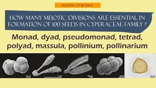 Different types of pollen units  Monads Dyads Pollinia Pollinarum Pseudomonad [upl. by Nerreg426]