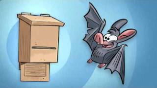 Le nuove Bat Box alla Coop [upl. by Mcclees]