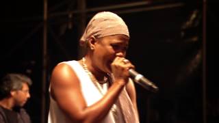 Lady Saw  Sycamore Tree  Healing  Hot Gal Medley Live at BoomTown Fair 2014 [upl. by Iaj770]