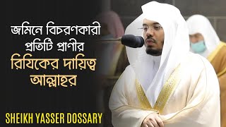 First Verses Of Surah Hud  Sheikh Yasser Dossary  Quran Recitation [upl. by Barfuss768]