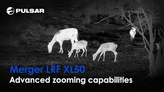 Merger LRF XL50  Advanced zooming capabilities  Thermal imaging binoculars [upl. by Dodson479]