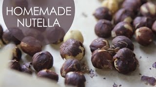 Homemade Nutella Recipe  Holistic Longevity [upl. by Nytsirc]