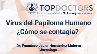 Virus del Papiloma Humano ¿Qué es y cómo se contagia [upl. by Ashlen]