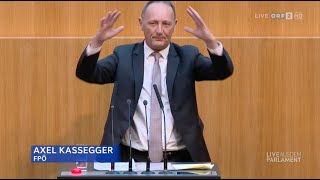 Axel Kassegger  ErneuerbarenAusbauGesetz  2132024 [upl. by Oeflein]