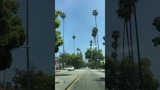 PASADENA CALIFORNIA 🔥 PLEASE ❤️SUBSCRIBE ME 🙏🏼 [upl. by Lemor528]