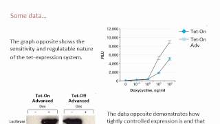 Eukaryotic Expression Vectors and Epitope tagging [upl. by Aritak]