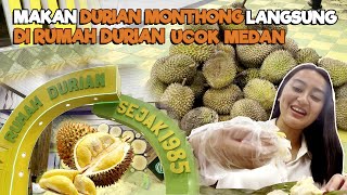 MAKAN DURIAN MONTHONG LANGSUNG DI RUMAH DURIAN UCOK MEDAN [upl. by Yks]