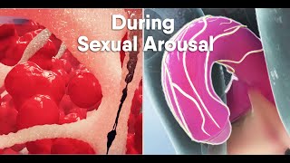 Short trackDo you know what happens During sexual arousal inside the body what is the clitoris [upl. by Oretna]