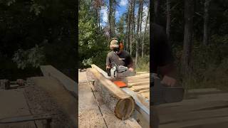 Slicing My Favorite Type Of Wood on My Chainsaw Mill Stihl MS 661 and Logosol F2 [upl. by Atteinotna]