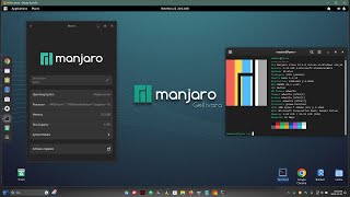 Manjaro  Gnome  Windows 11 install and working Gnome  Youtube 2023 [upl. by Maible]