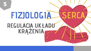 Fizjologia układu krążenia cz 5 Regulacja układu krążenia [upl. by Mialliw82]