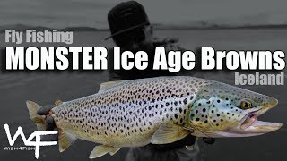 W4F  Fly Fishing Iceland quotMonster Ice Age Brownsquot Þingvallavatn [upl. by Sollie]