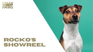 Rocko Parsons Russell Terrier Showreel [upl. by Drugi]