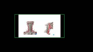 Cervical Laminectomy [upl. by Kreegar]