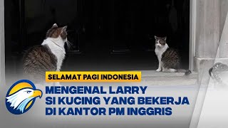 PM Inggris Baru Keir Starme Bertemu Larry [upl. by Ressler]