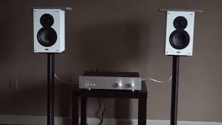 Elac Debut Prima B5 video [upl. by Koser]