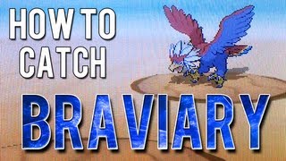 How to Catch  Braviary  Pokemon White 2 [upl. by Nauqan]