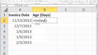 Excel  TODAY Function [upl. by Aihsekan474]