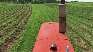 cultivating a corn field on a Wisconsin family farm [upl. by Carmencita557]