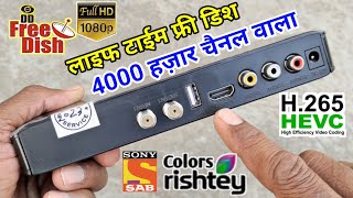 DD Free Dish Mpeg4 Set Top Box Unboxing and Review  Free to air set top box  Mpeg4 [upl. by Ahseym]