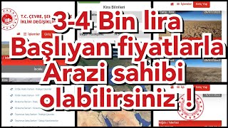 Devlete ait Arazi Kiralama  Satın alma nasıl yapılır  Gerekli Kriterler  çiftçilik hayvancılık [upl. by Holt]