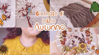 🐿️🍁GIORNATE DI INIZIO AUTUNNO🍂RICAMO PUNTO CROCE🧵PIOGGIA🌧️ACQUISTI E VENDITE VINTED🤩🛍️Navichic [upl. by Craner]