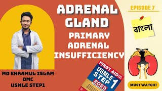 Primary Adrenal Insufficiency [upl. by Floria]