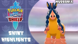 SHINY MUDSDALE REACTION  Pokemon Sword and Shield [upl. by Steinberg]