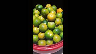 How to preserved calamansi to use longer and making fresh calamansi juice [upl. by Bergstein]