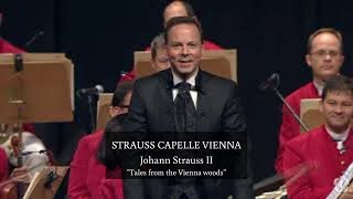 Johann Strauss II  quotTales from the Vienna Woodsquot Waltz Live 2019 [upl. by Landau]