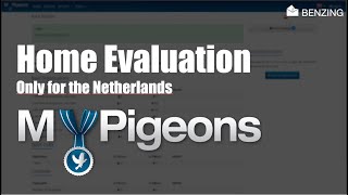 MyPigeons  BENZING Live  Instructie video benzing thuis afslag voor Nederland [upl. by Ala759]