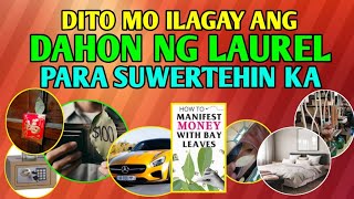 10 PINAKA MASWERTENG LUGAR KAPAG NILAGYAN MO NG DAHON NG LAUREL [upl. by Mariko]