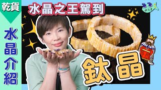 【魚魚聊石事】EP21水晶介紹：鈦晶Rutilated quartz｜水晶之王駕到！貴氣十足的它帶來滿滿的財富能量！發財就靠你啦～～～ [upl. by Arualana]