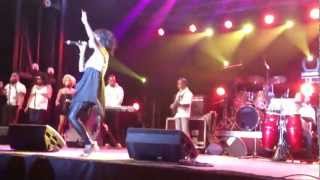 Mon meilleur ami  Sista Flo Live Miel Vert 2013 HD [upl. by Neveda]