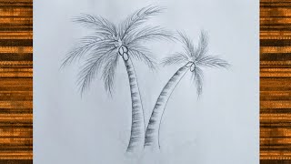 how to draw coconut tree  tree pencil drawing  coconut tree drawing [upl. by Ilrebma541]