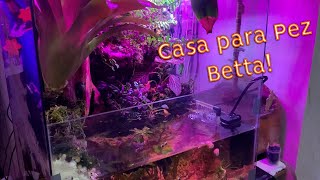 Cómo hacer una casa para bettafish paladarium [upl. by Occor]