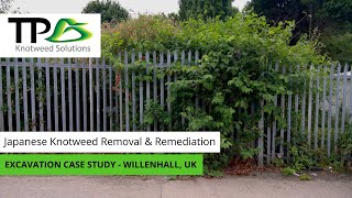 Japanese Knotweed Removal amp Remediation  Willenhall UK [upl. by Brion54]