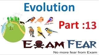 Biology Evolution part 13 Speciation class 12 XII [upl. by Tootsie]