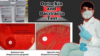 Optochin and Bacitracin test  Optochin susceptibility test  optochin sensitivity test procedure [upl. by Valenza]