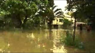 SA aids Qld flood victims [upl. by Darwin]