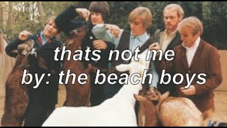 thats not me by the beach boys lyrics [upl. by Nosdivad]