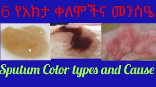 Sputum Color Meaningsየጉሮሮ ዓክታ ዓይነቶችና መንስዔዎች [upl. by Charlie]