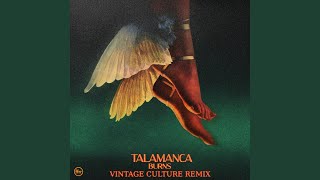 Talamanca Vintage Culture Remix [upl. by Dnaltroc]