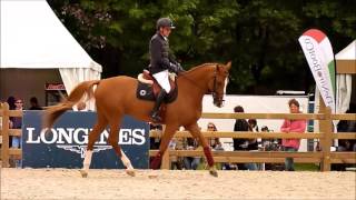 Abdelkebir Ouaddar Simon Delestre paddock Eiffel 2016 sunday [upl. by Dietsche206]