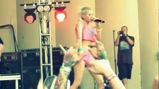 Lollapalooza  Die Antwoord  Babys on Fire Live HD [upl. by Puttergill12]