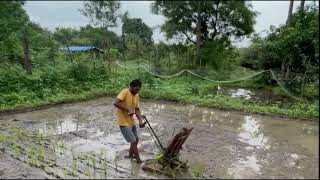 Manual Paddy Transplanter Made in India Assam Music [upl. by Ttegirb]