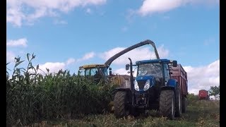 Ensilage de sorgho 2019  New Holland  CASE IH  GÖWEIL [upl. by Kravits]