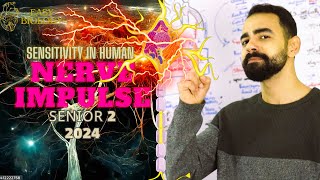 بيولوجي تانية ثانوي  BIOLOGY SENIOR 2 😍  Nerve Impulse ⚡️🧠 Synapse [upl. by Arebma]